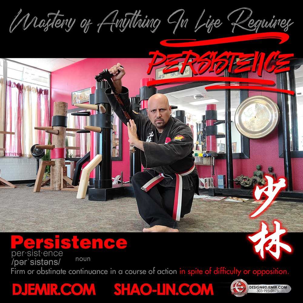 Tamo Cane Crutches of War Master Emir Santana Persistence And Practice Definition and Shaolin Kung Fu Motivational Quotes Meme