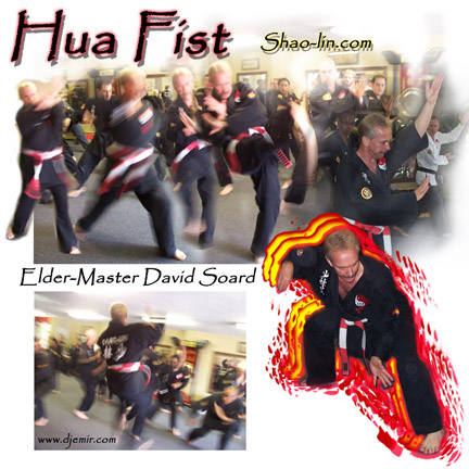Shaolin Elder Master David Teaches the Hua Fist Kung Fu Form